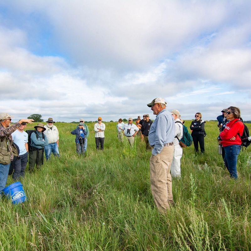 A group of people stand together in a field conversing.