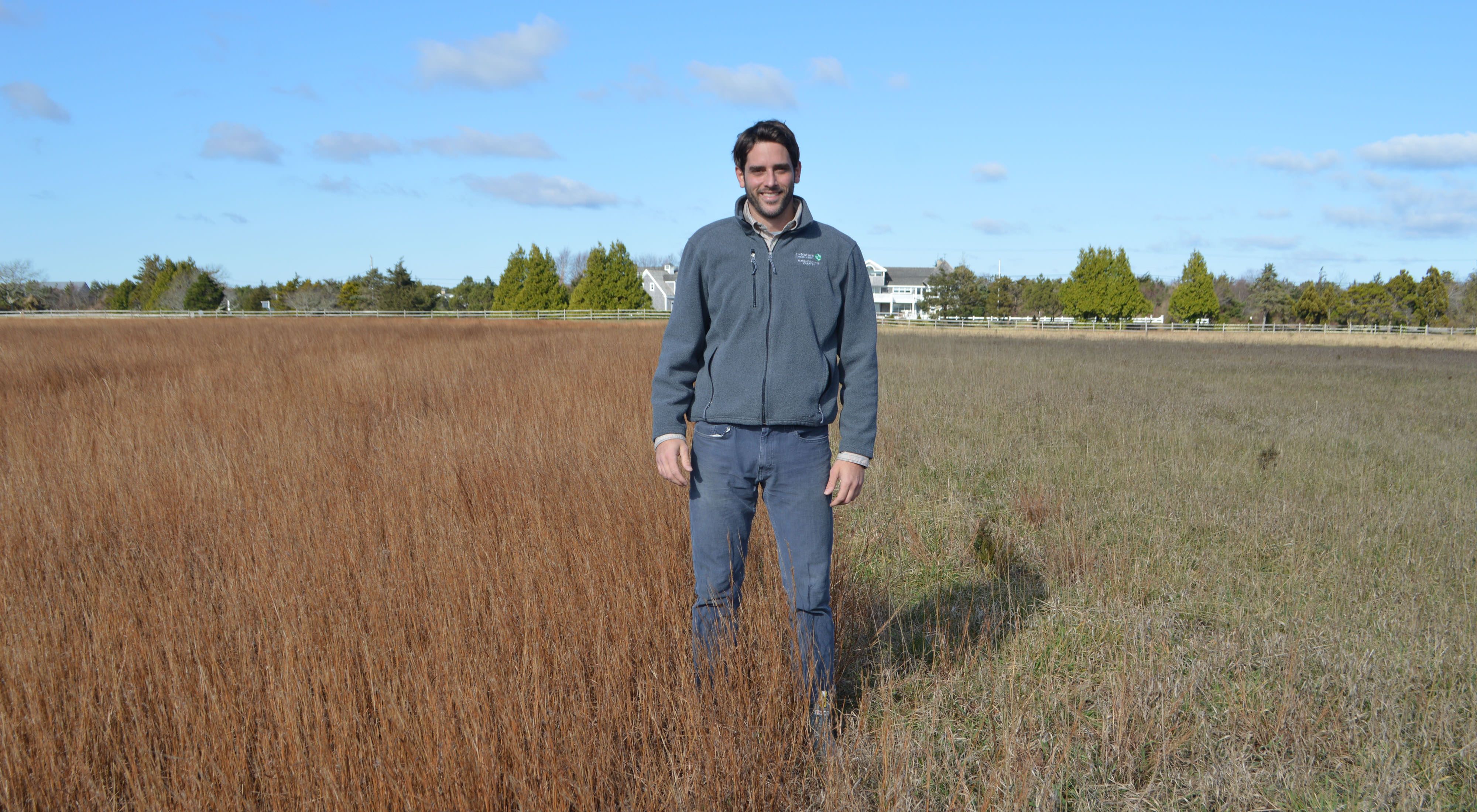 A man stands in a grassland on Martha's Vineyard, on the left side the grass is brown, on the right, it is green.