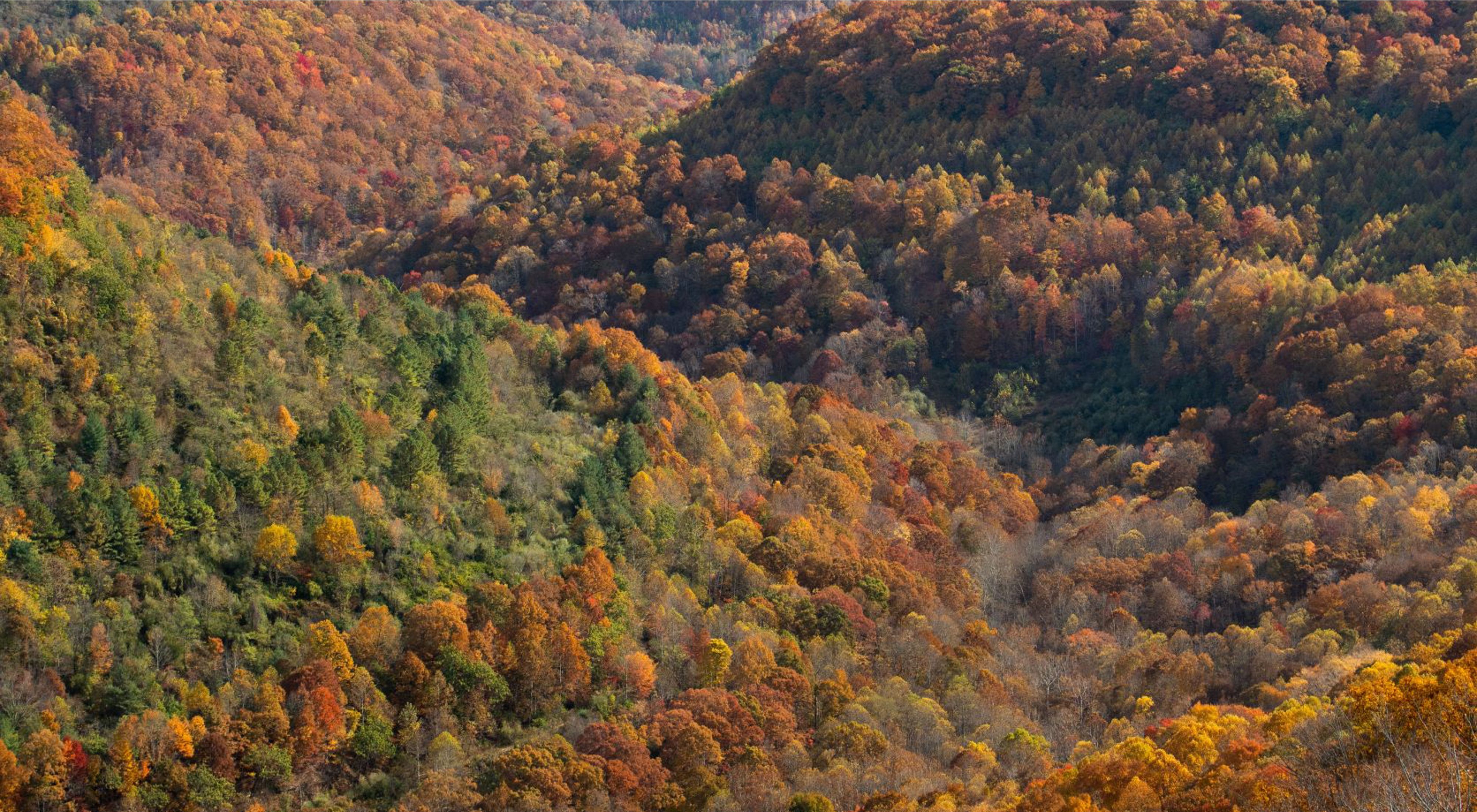 Colorful mountains in the fall with a blue gray sky above them.