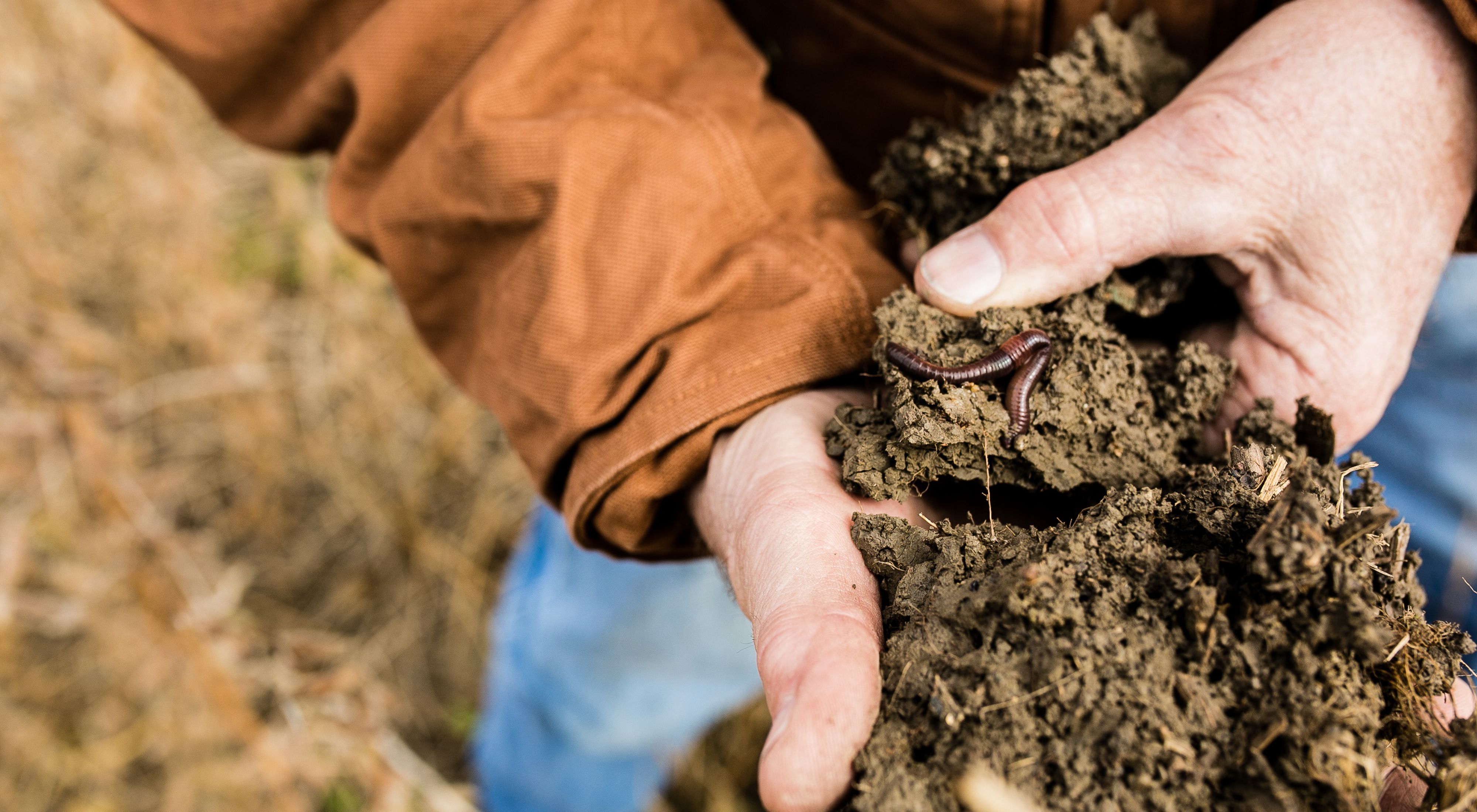 Man holding soil with a worm visible in it.