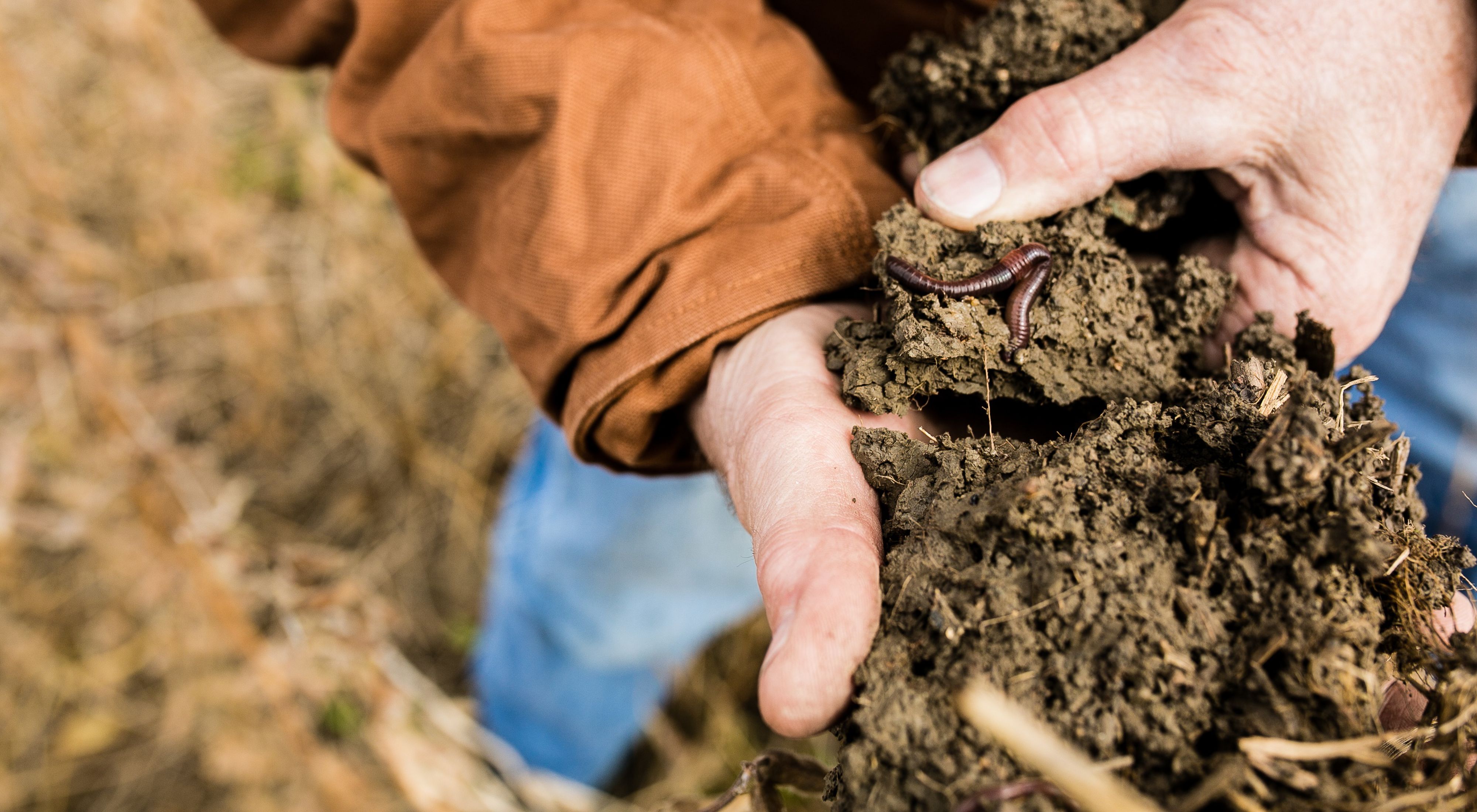 Soil is one of the most biologically diverse ecosystems on Earth.