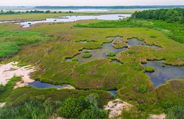 An aerial view of the grass and marsh at Milford Neck preserve.