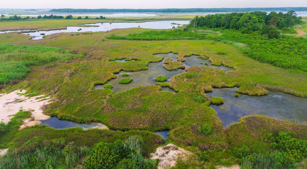 Aerial view looking down on tidal marshlands. Creeks and channels wind through the wetlands. A thin strip of beach provides a buffer from the ocean.