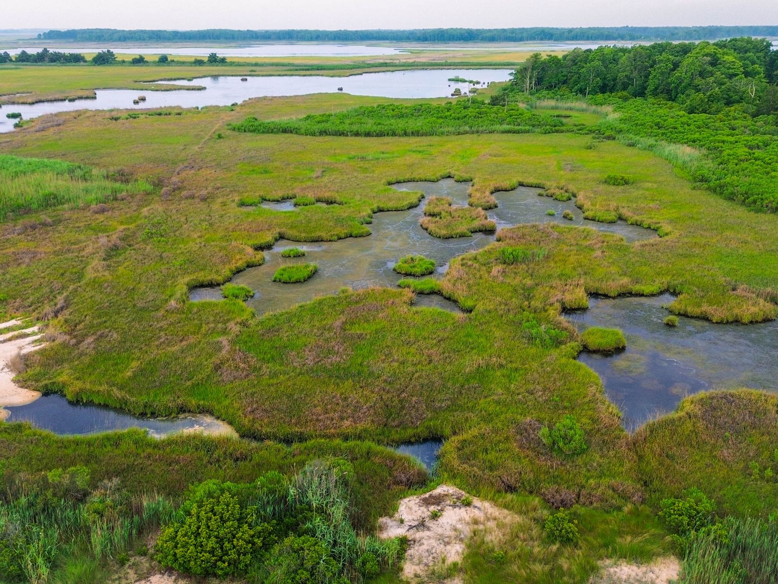 Delaware Environment Delaware Conservation Blueprint | The Nature Conservancy in DE