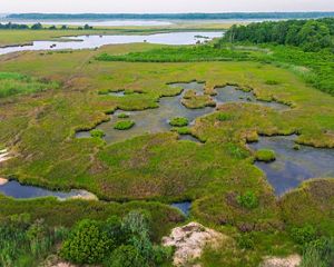 Aerial view looking down on tidal marshlands. Creeks and channels wind through the wetlands. A thin strip of beach provides a buffer from the ocean.