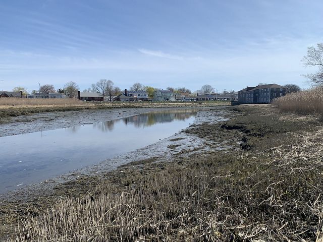 Mill Creek in Chelsea at low tide, with some muddy banks exposed. Buildings and a road run alongside it in the background.