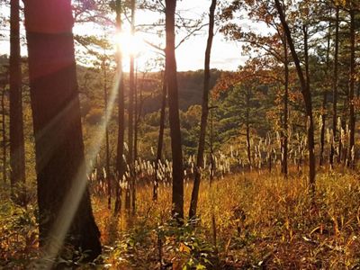 The Mill Creek Center for Conservation Innovation in Van Buren, MO.
