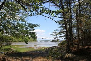 Mill Pond Preserve The Nature Conservancy in Maine