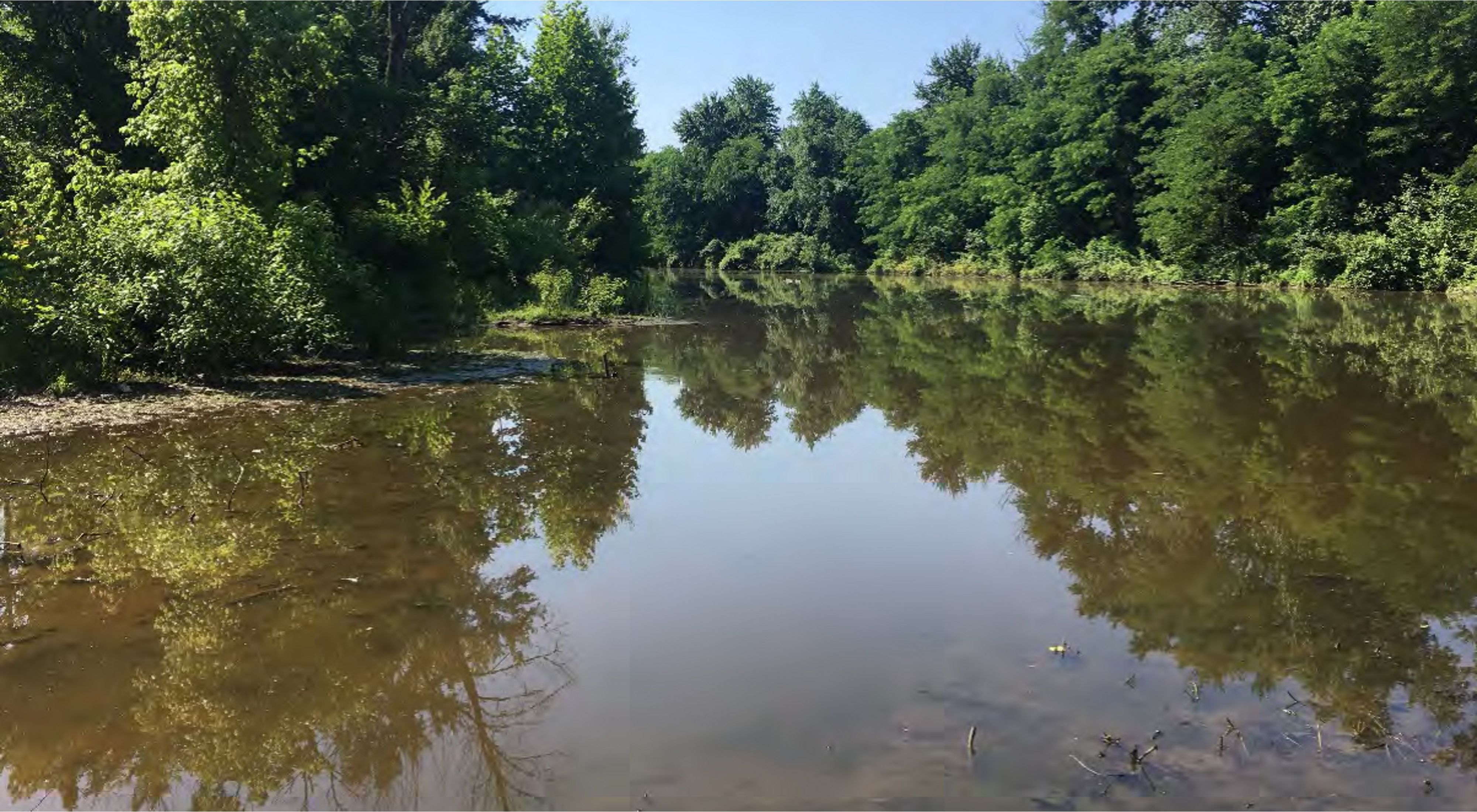 Image of Mill Creek in Louisville, Kentucky.