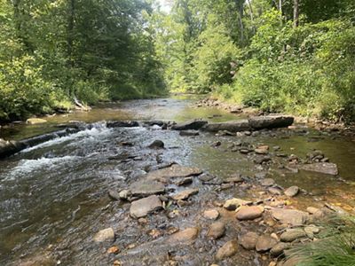 A river with water moving quickly over a few large logs and rocks.