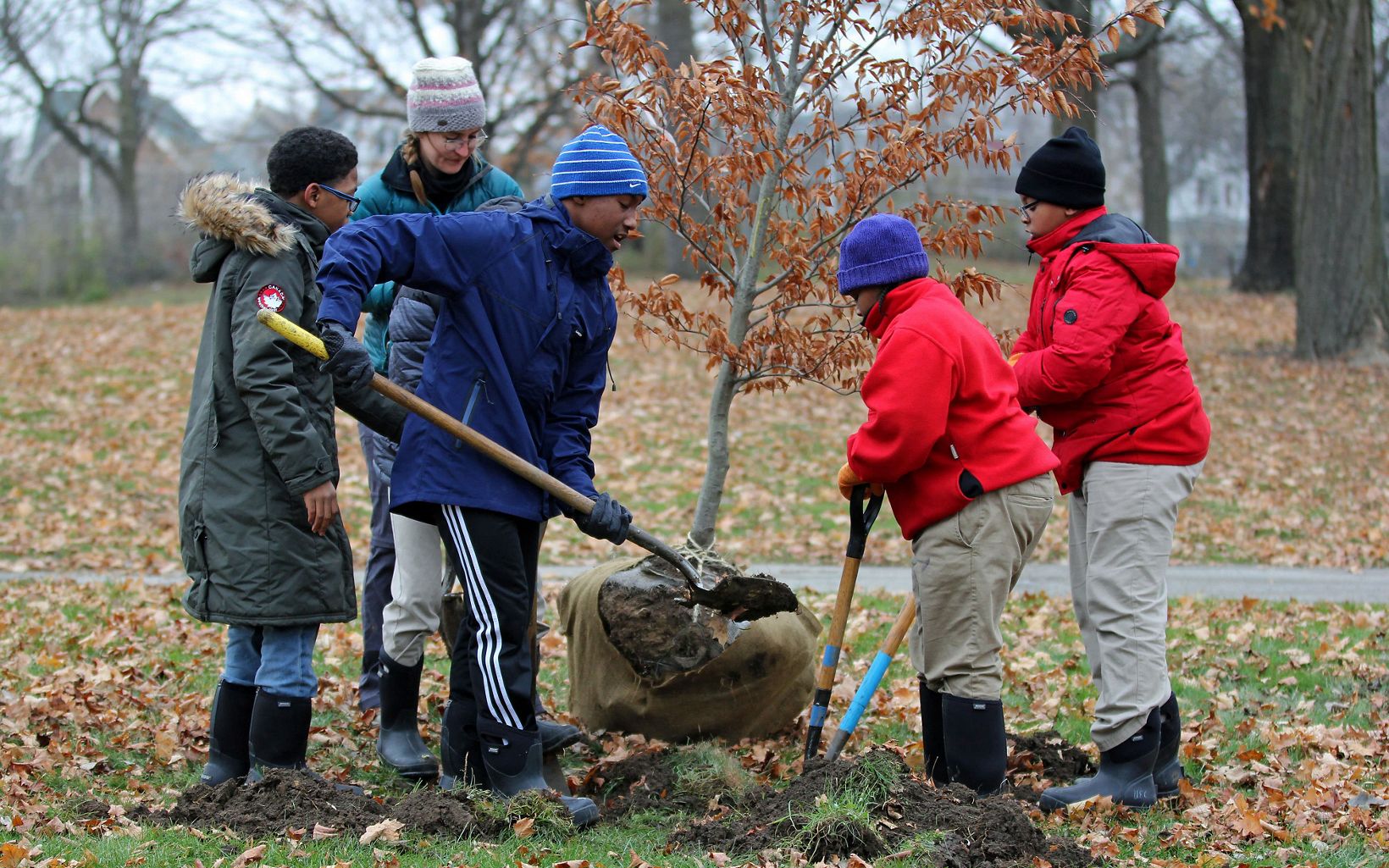  Students plant trees with the Urban Ecology Center in Washington Park.