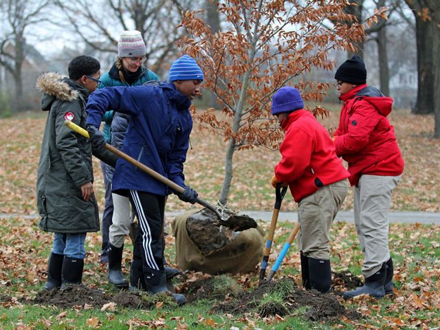 Students plant trees with the Urban Ecology Center in Washington Park.