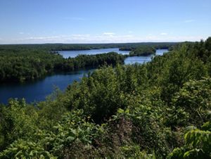 Elevated view of a lake surrounded by dense forest in summer.