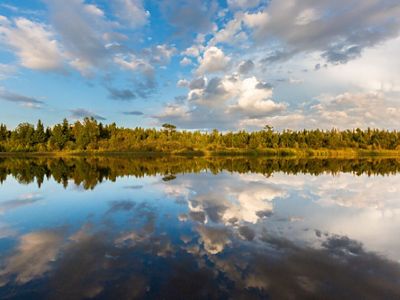 A pale blue sky with clouds is reflected in a still lake that is bordered by trees.