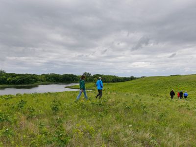 People walking through the prairie.