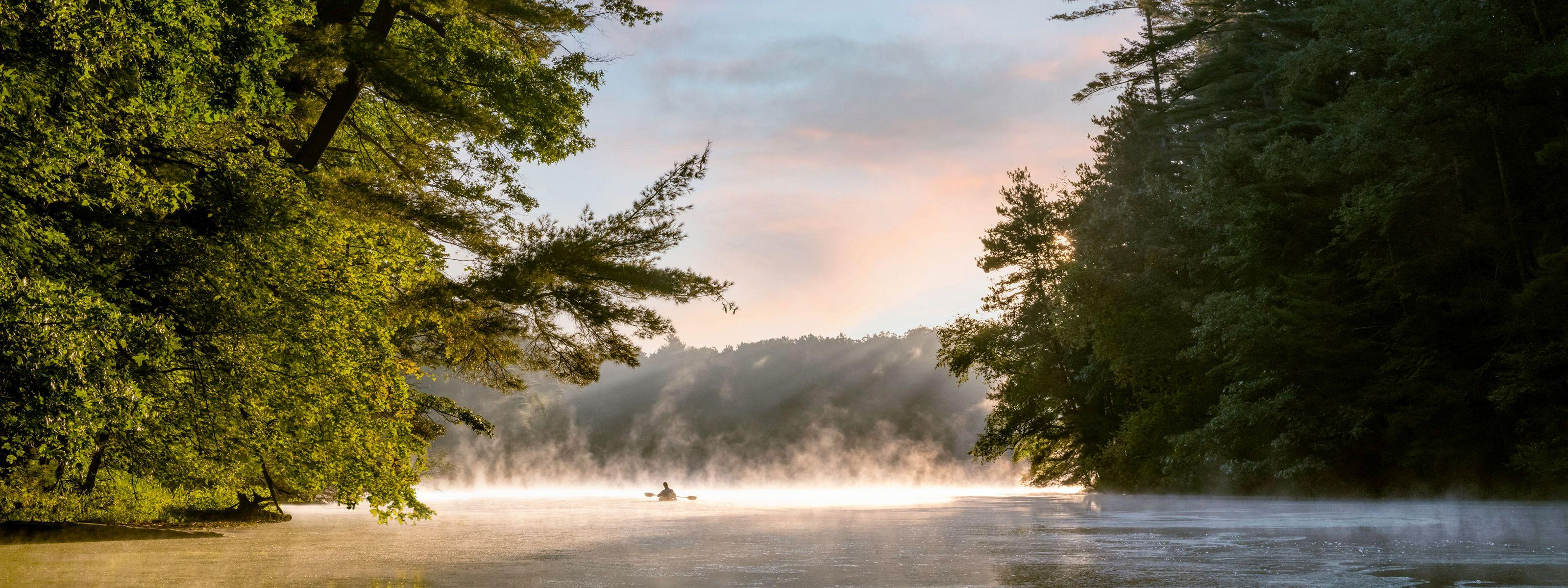A person kayaking on a lake with big evergreen trees overhanging the water and fog lifting off the water.