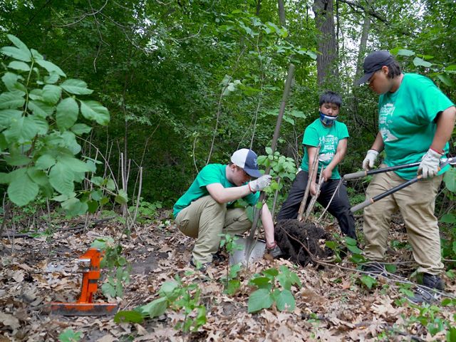 Much of the Mississippi River Green Team's work involved removal of invasive species in the watershed.