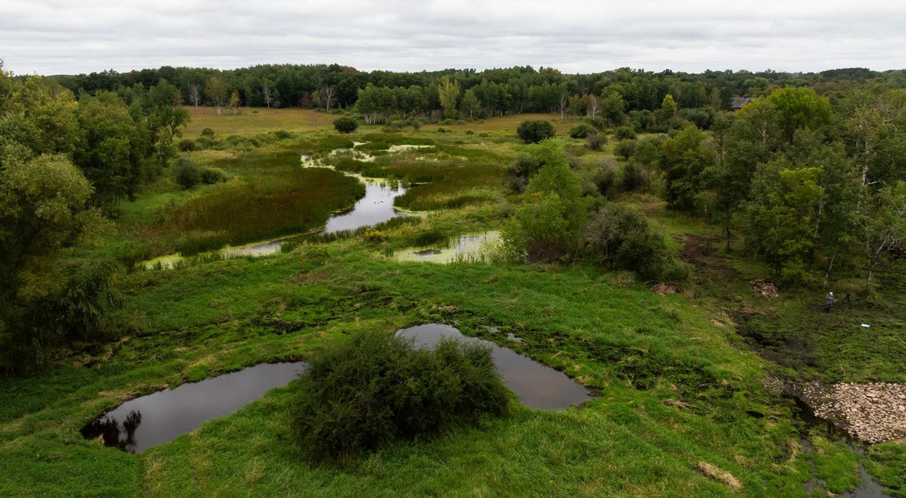 Aerial view of wetlands surrounded by trees.