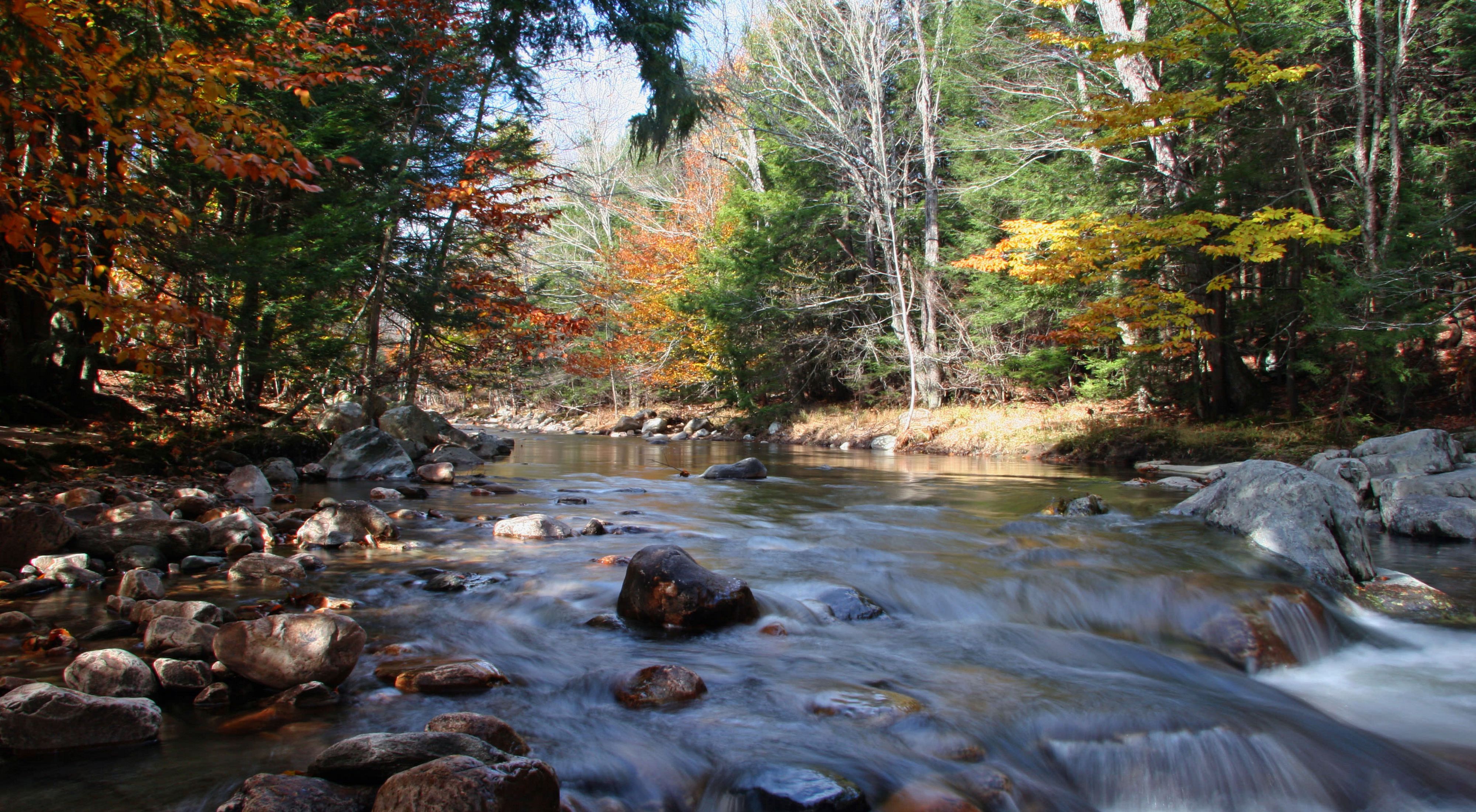 A river runs over some rocks through the forest. Some of the trees are turning yellow and orange.