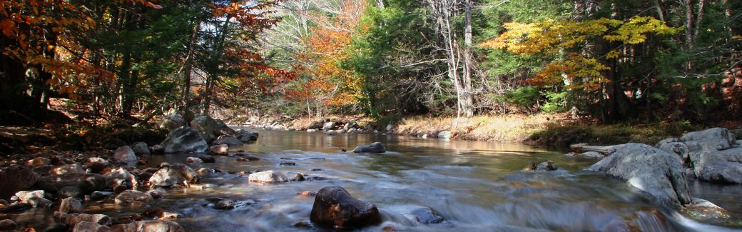 A river runs over some rocks through the forest. Some of the trees are turning yellow and orange.