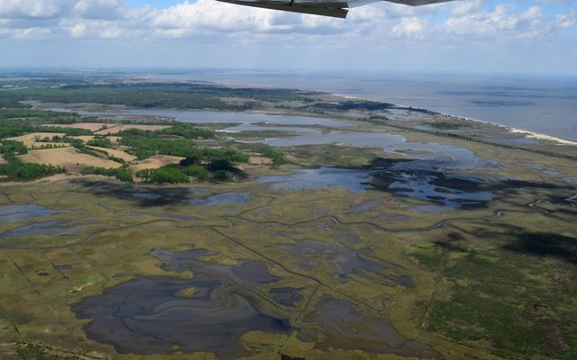 Aerial view looking down on tidal marshlands adjacent to the Delaware Bay. Large patches of open water wind through green wetlands next to tall stands of coastal forest.