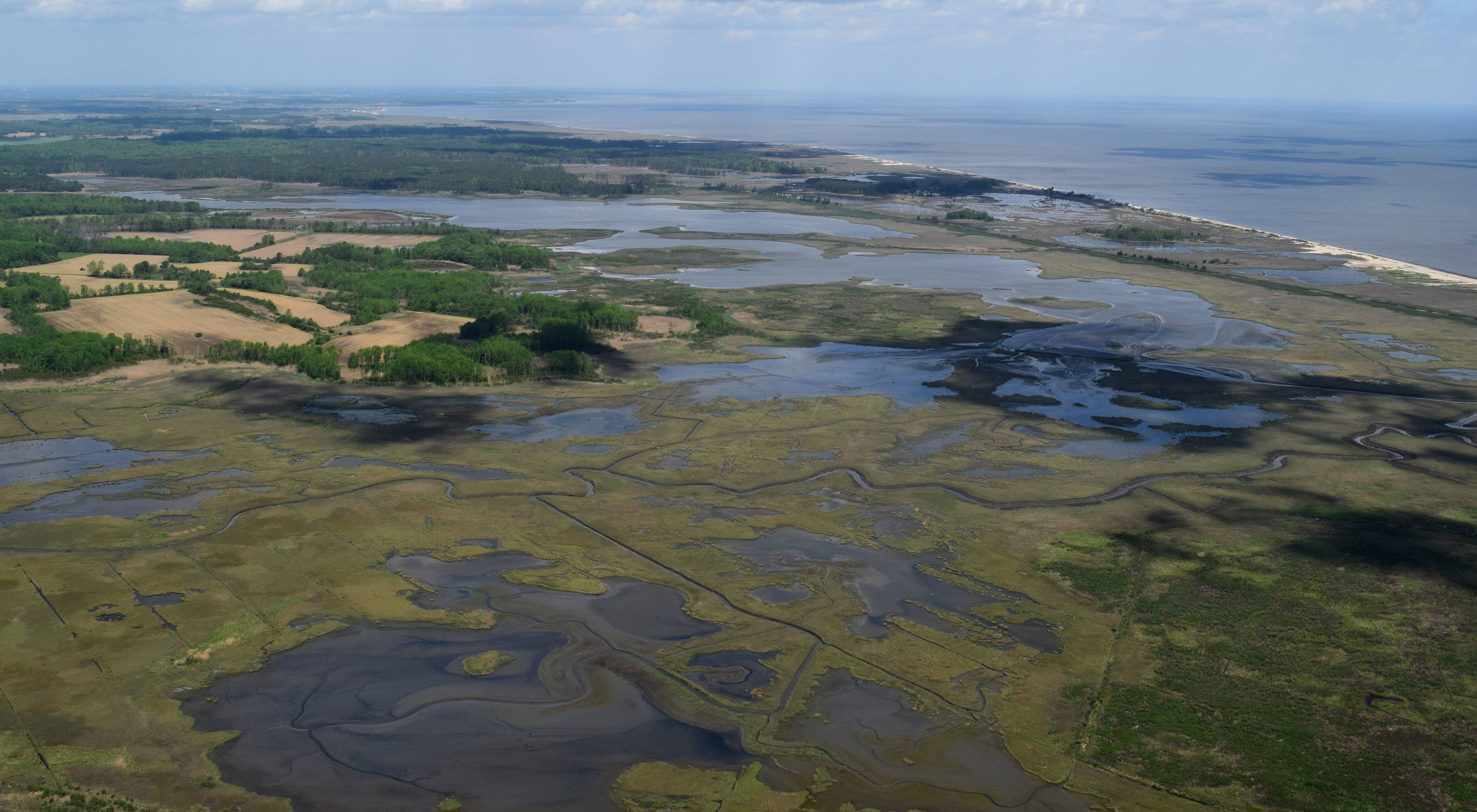 Aerial view looking down on tidal marshlands. Creeks and channels wind through the wetlands. A thin strip of beach provides a buffer from the ocean. 