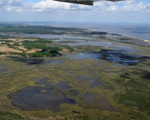 Aerial view looking down on tidal marshlands. Creeks and channels wind through the wetlands. A thin strip of beach provides a buffer from the ocean.