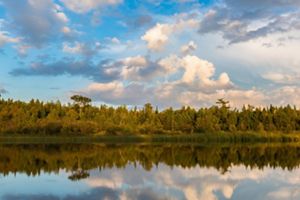 Clouds are reflected in the blue water of a river with trees and wetland vegetation along the shoreline.