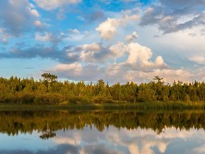 Clouds are reflected in the blue water of a river with trees and wetland vegetation along the shoreline.