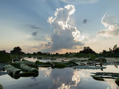 Sunrise at Erie Marsh
