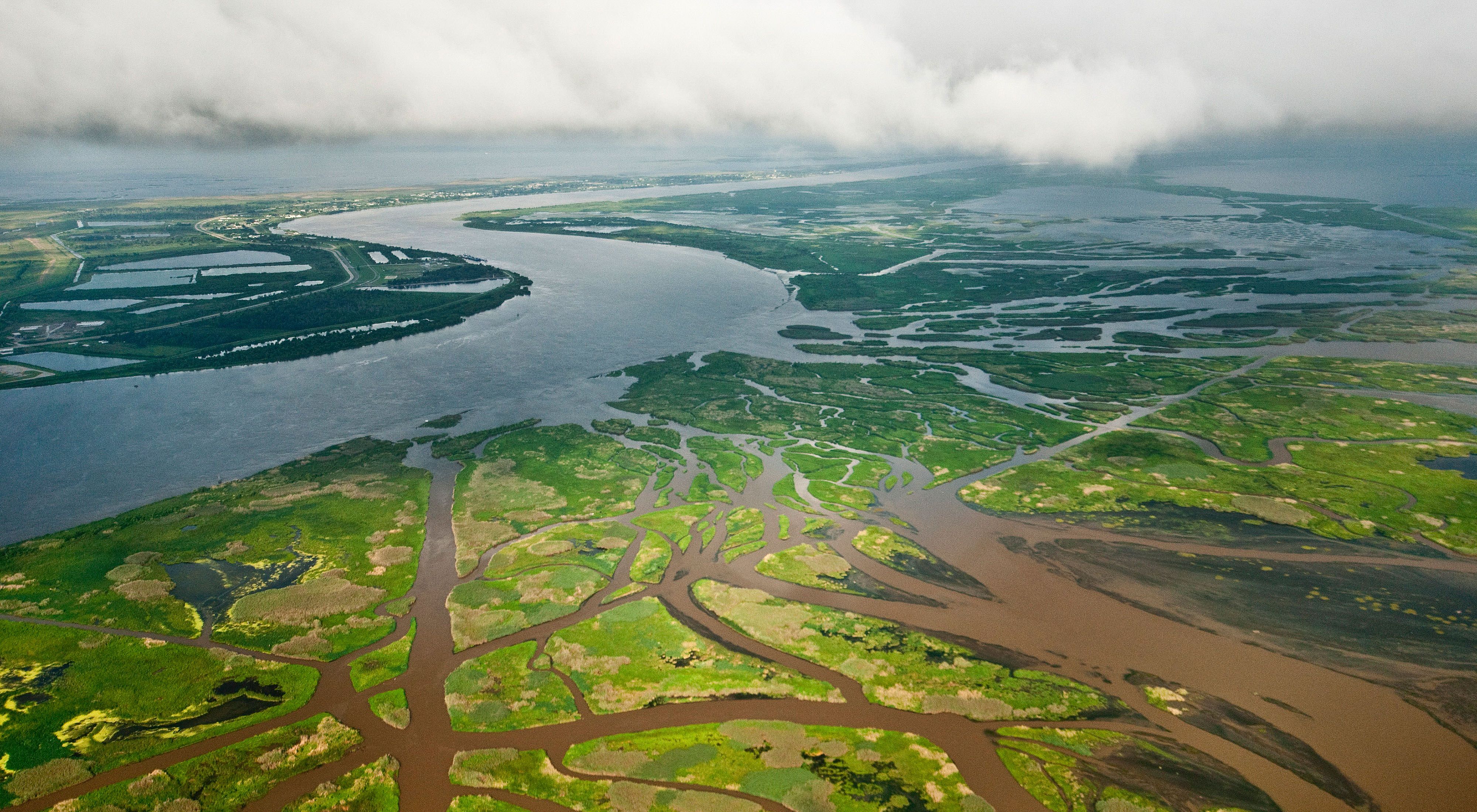 Aerial view of the Mississippi River delta near New Orleans.