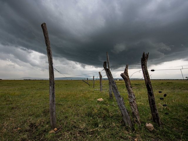 Fences disrupt the free movement of wildlife in Kenya's Pardamat Conservation Area.