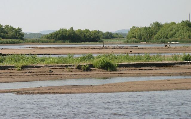 Photo of Upper Mississippi River basin, showing the river with exposed mudflats.