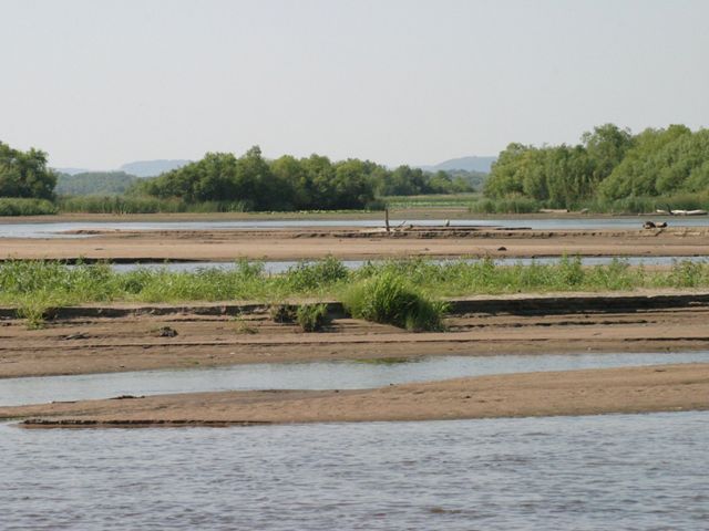 Photo of Upper Mississippi River basin, showing the river with exposed mudflats.