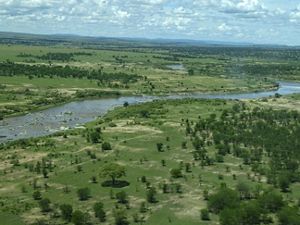 Northern Serengeti plains near the Kogatende Airstrip.