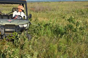 A man sitting in a UTV spraying weeds in a grassy field. 