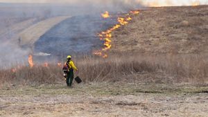 A person in yellow fire-protective gear watches a fire line in an open prairie field.