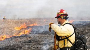 Man starting at a prescribed fire.