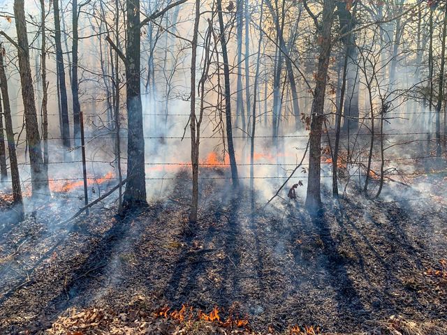 A prescribed fire in Iowa.