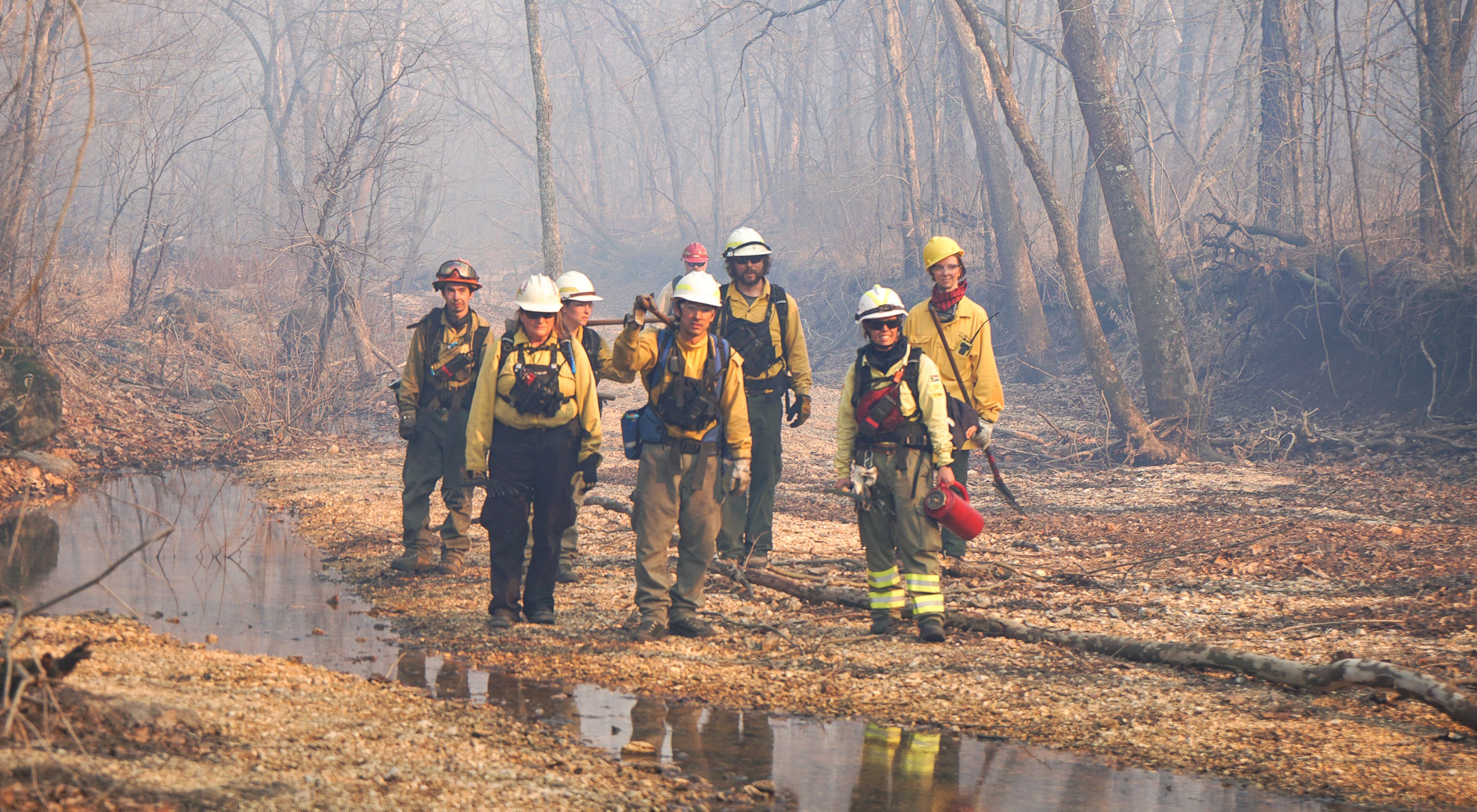 Group of fire practioners in yellow helmets and jackets walking through a smokey wooded area