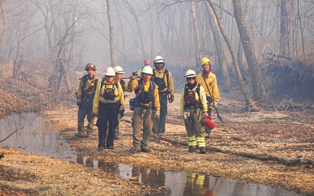 Group of fire practitioners in yellow helmets and jackets walking through a smoky wooded area.