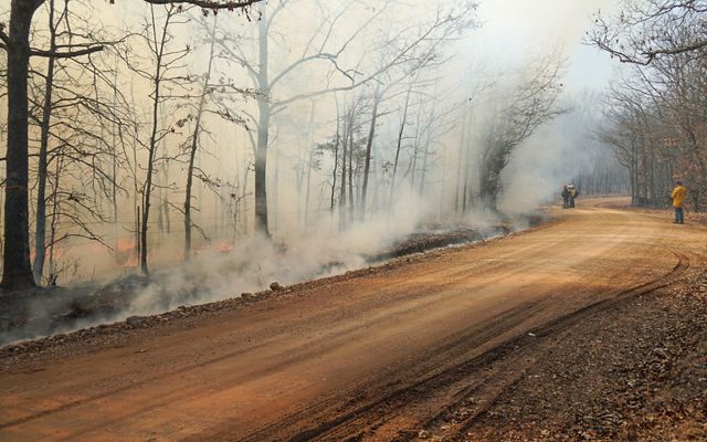 Smoke from a prescribed fire along a dirt road.