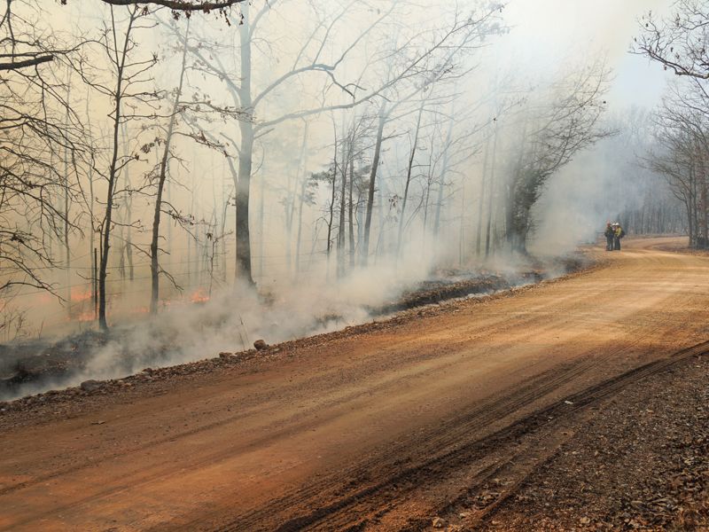 Smoke from a prescribed fire along a dirt road.
