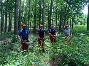 Volunteers stand in a row in the middle of a green forest, each holding a chainsaw and wearing protective gear.