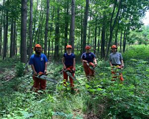 Fie Thao, Gabbi Genz, Karina Cardella and Bobbi Rooney stand in a row in the middle of a green forest, each holding a chainsaw and wearing protective gear, all smiling.