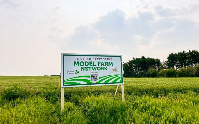 Model Farms