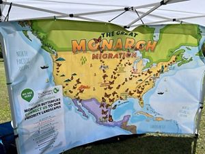Monarch migratory route banner at TNC booth at Monarch Festival in East Chicago.