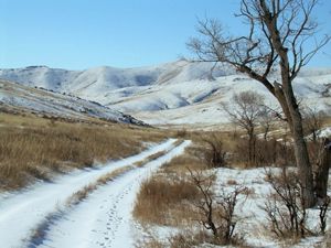 a snowy hillside with a path running through the foreground.