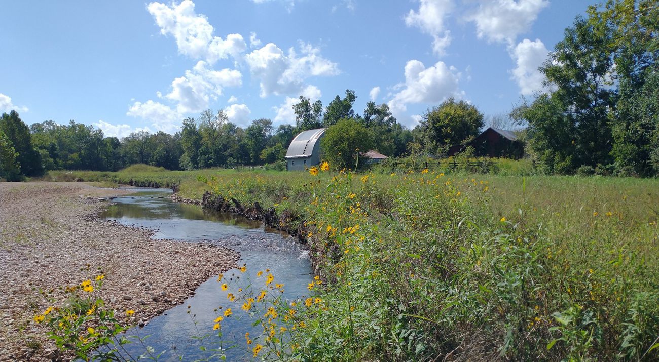 A small creek runs through a a prairie with yellow flowers