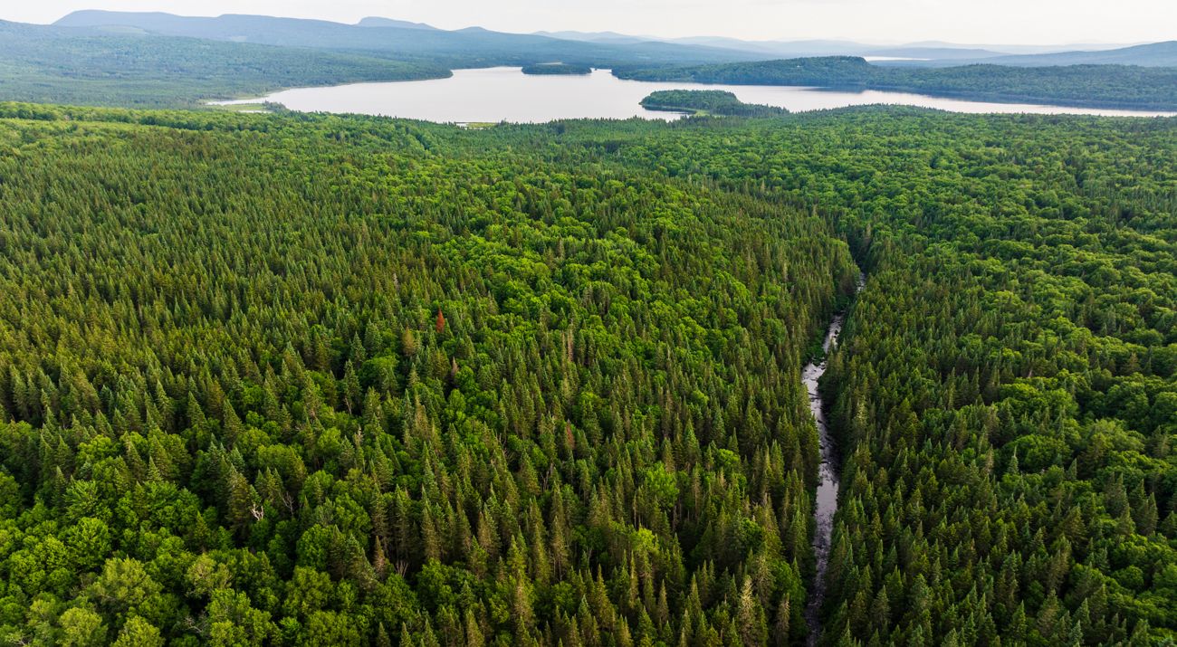 Drone view of East Inlet Stream in Pittsburg, New Hampshire. Second Connecticut Lake is in the distance.